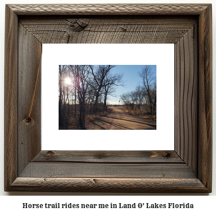 horse trail rides near me in Land O' Lakes, Florida